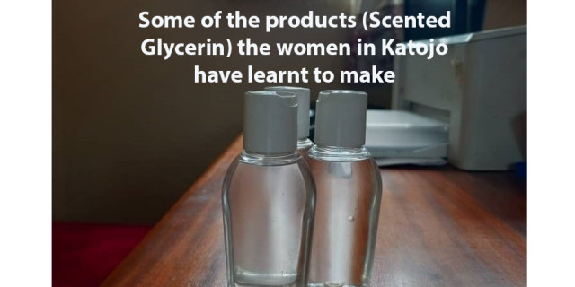 The Strategic Role of Pricing in Business Success: Empowering Women Entrepreneurs