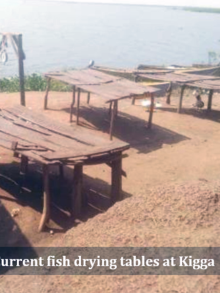 Solar Innovation Brings Hope to Kigga Fishing Community